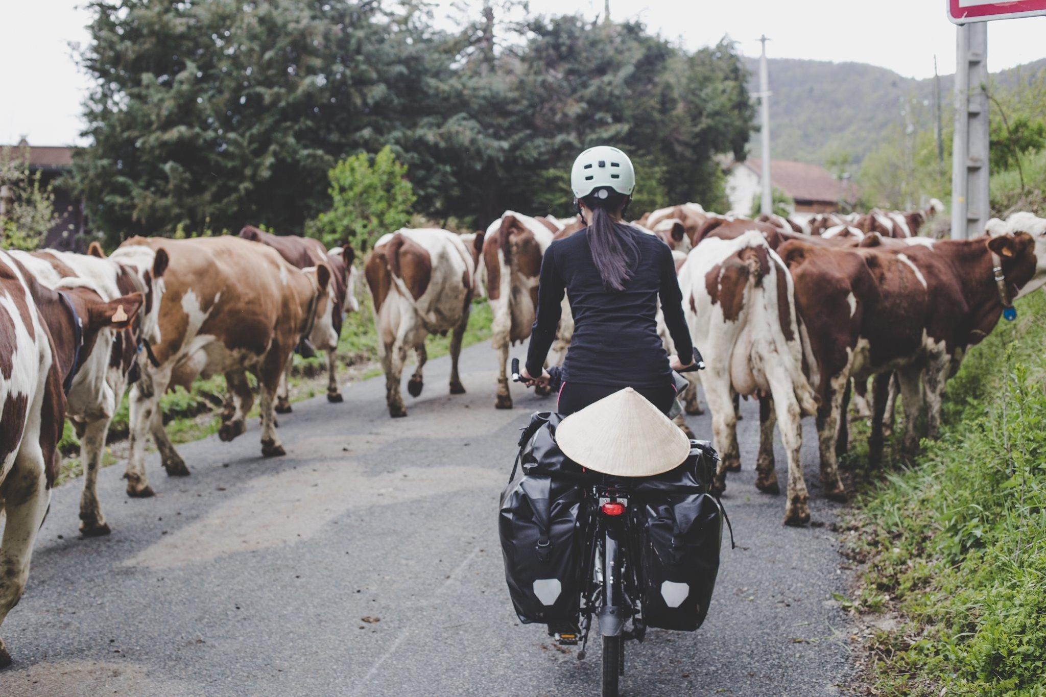 cô gái việt đạp xe ảnh 12 co gai viet dap xe anh 12