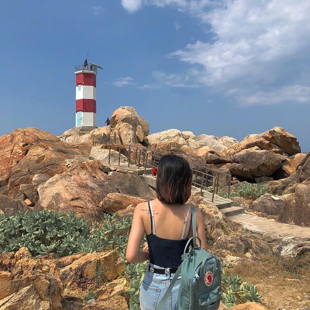 hoa vang tren co xanh anh 13