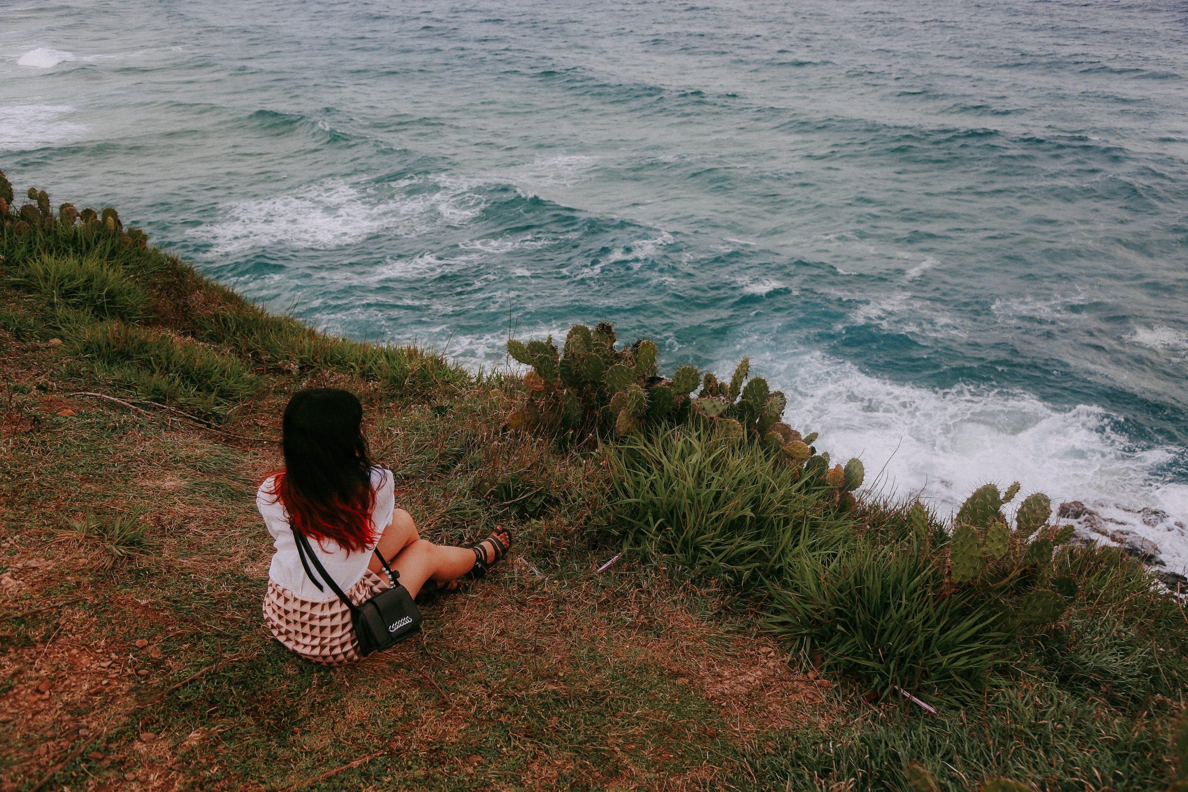 hoa vang tren co xanh anh 1