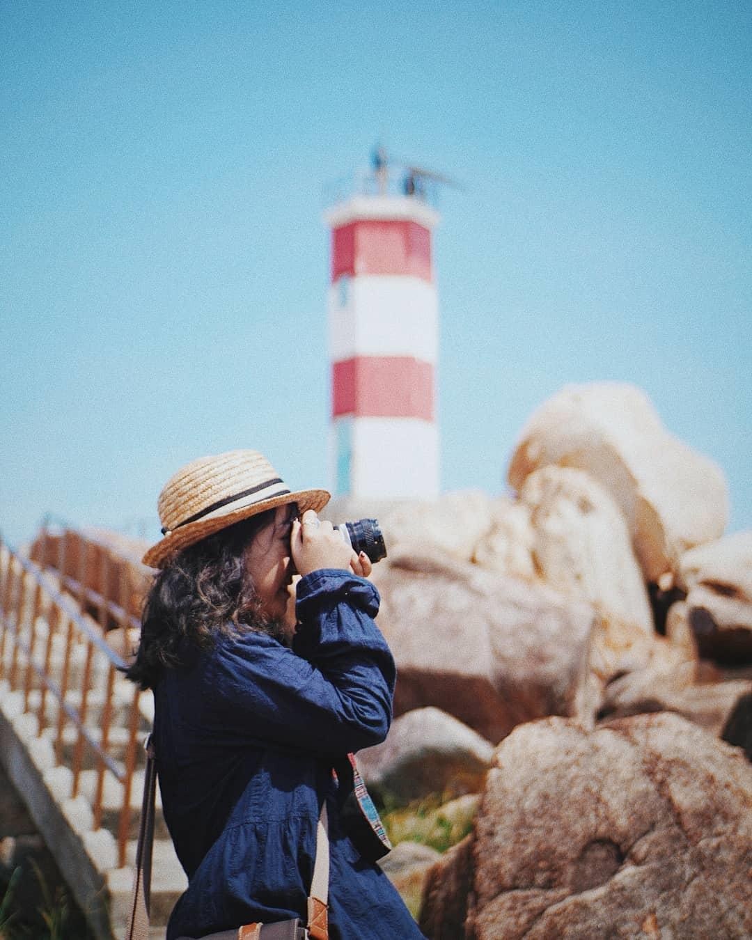 hoa vang tren co xanh anh 14