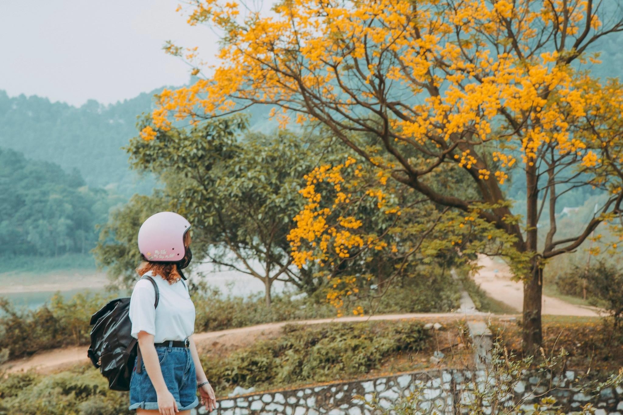 xa hoi sau thi gan ha noi anh 1