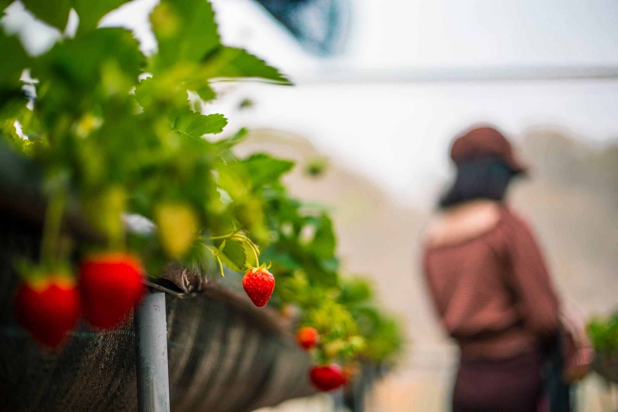 xa hoi sau thi gan ha noi anh 12