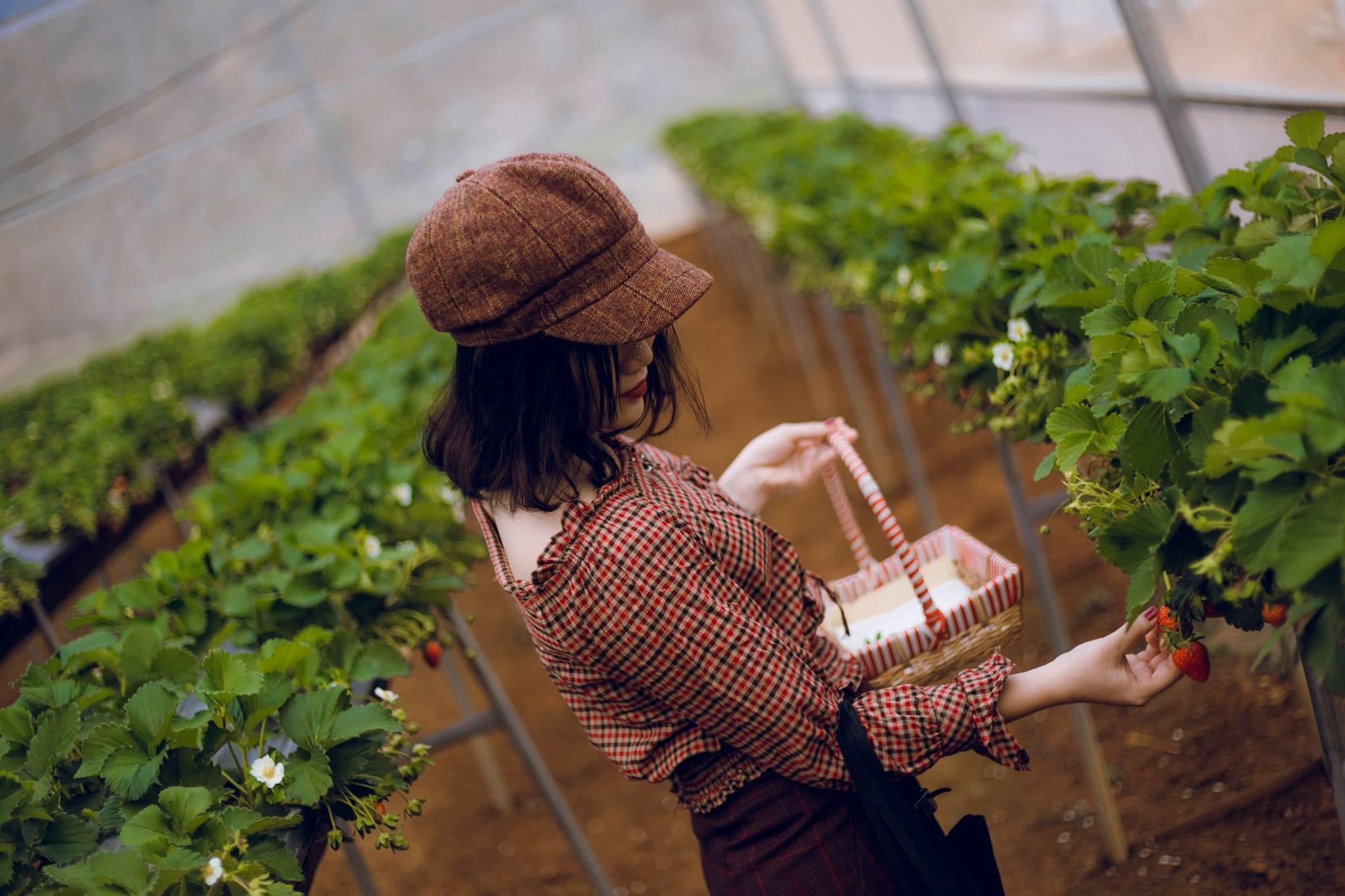xa hoi sau thi gan ha noi anh 11