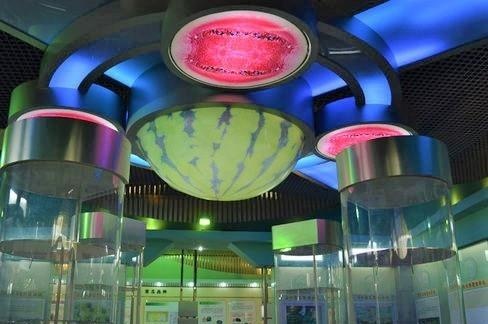 Bao tang dua hau va nhung diem du lich doc dao o Trung Quoc hinh anh