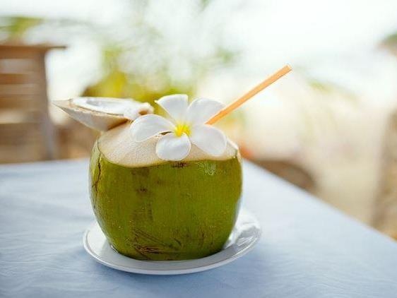 May ban tu dong duc lo dua tuoi o Dai Loan hinh anh