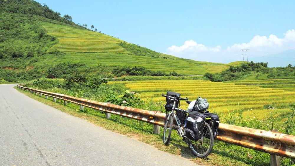 cam trai o viet nam anh 1