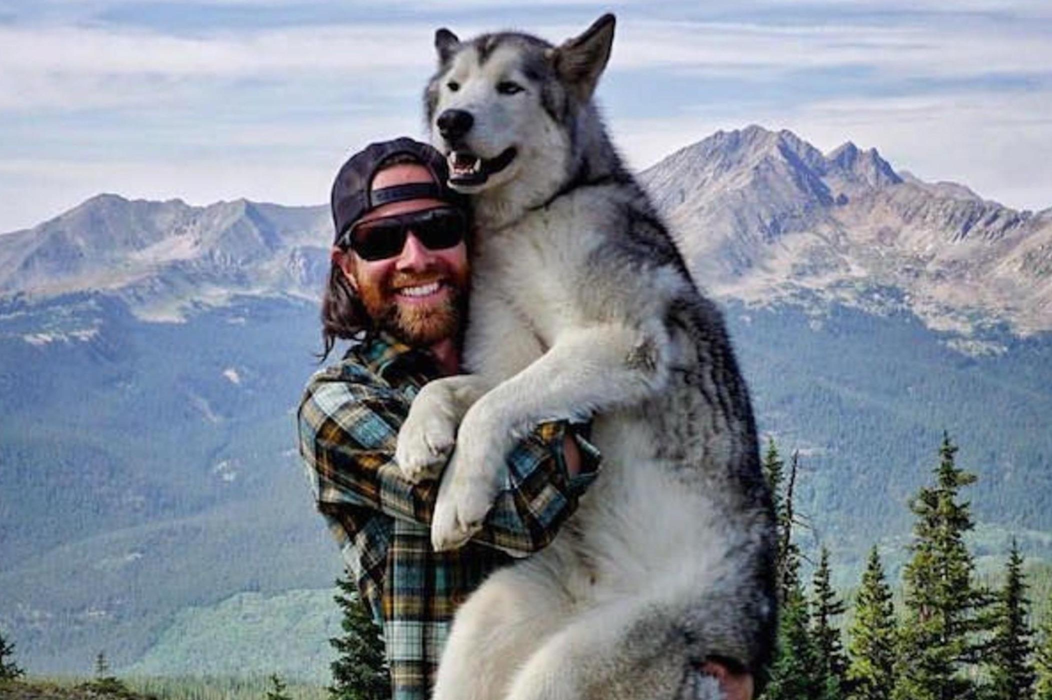 Cho lai soi truot tuyet, leo nui mao hiem cung chu hinh anh