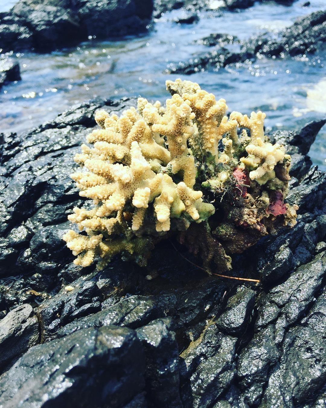 san ho phu yen anh 12