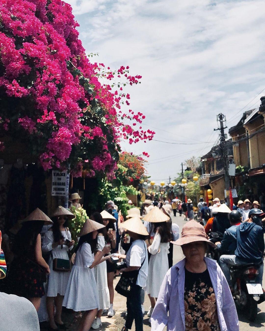 hoa hau den hoi an anh 9