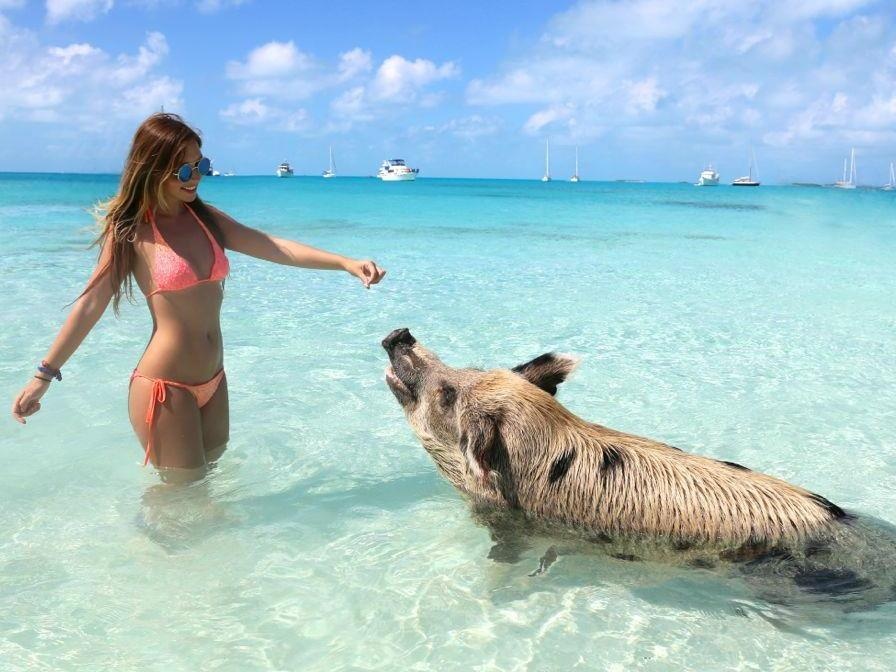 Bien heo va nhung bai tam dep bi an the gioi hinh anh