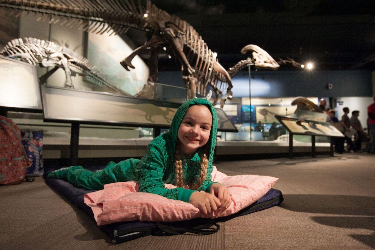 ngu cung dong vat anh 2