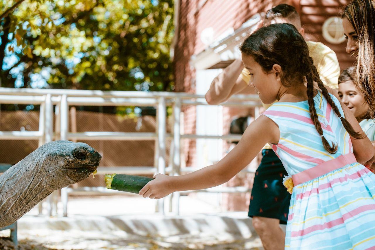 ngu cung dong vat anh 3