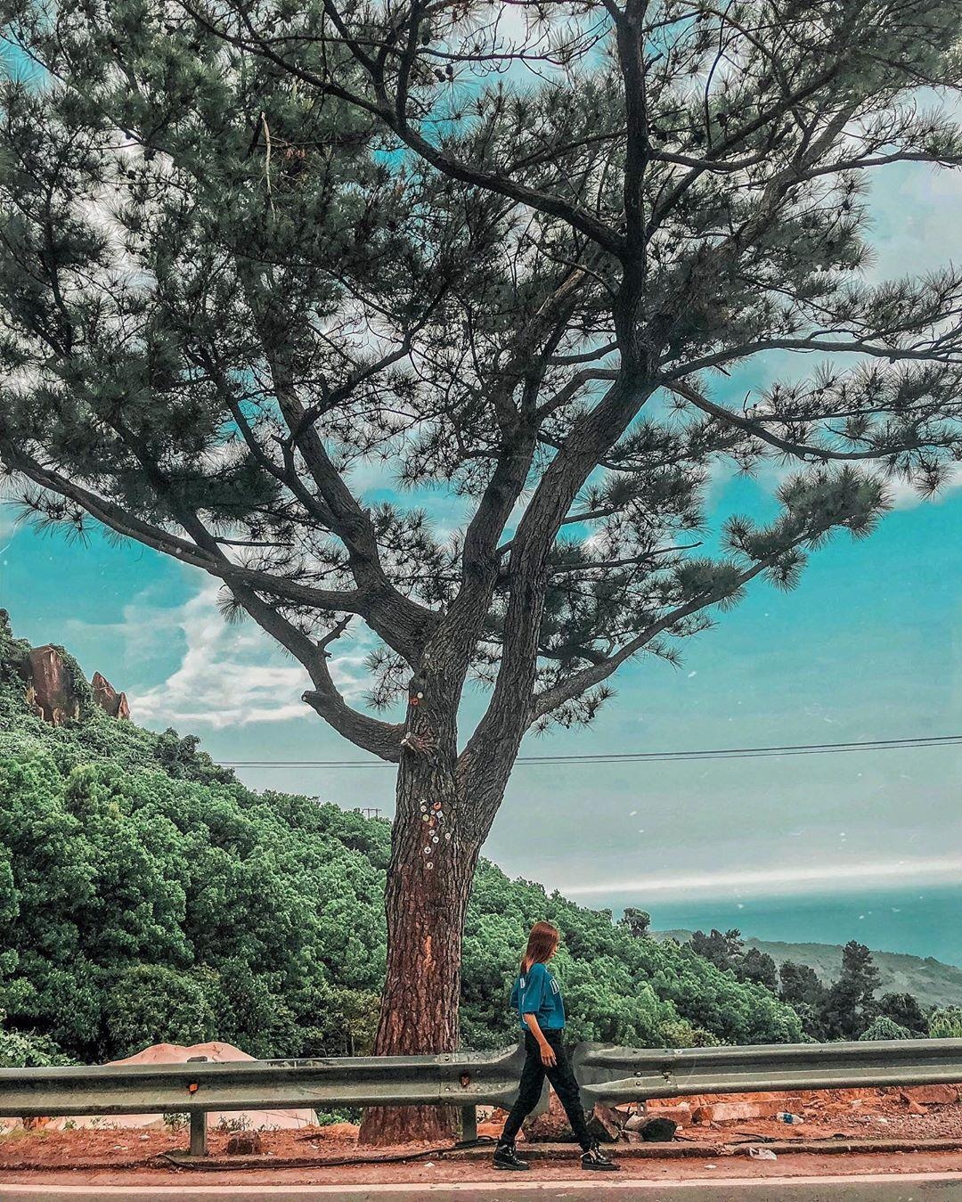 dia diem check in o deo hai van anh 11