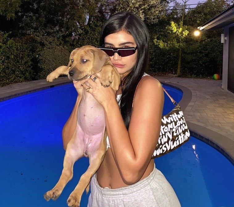 kendall jenner diện lại túi cũ ảnh 3 kendall jenner dien lai tui cu anh 3