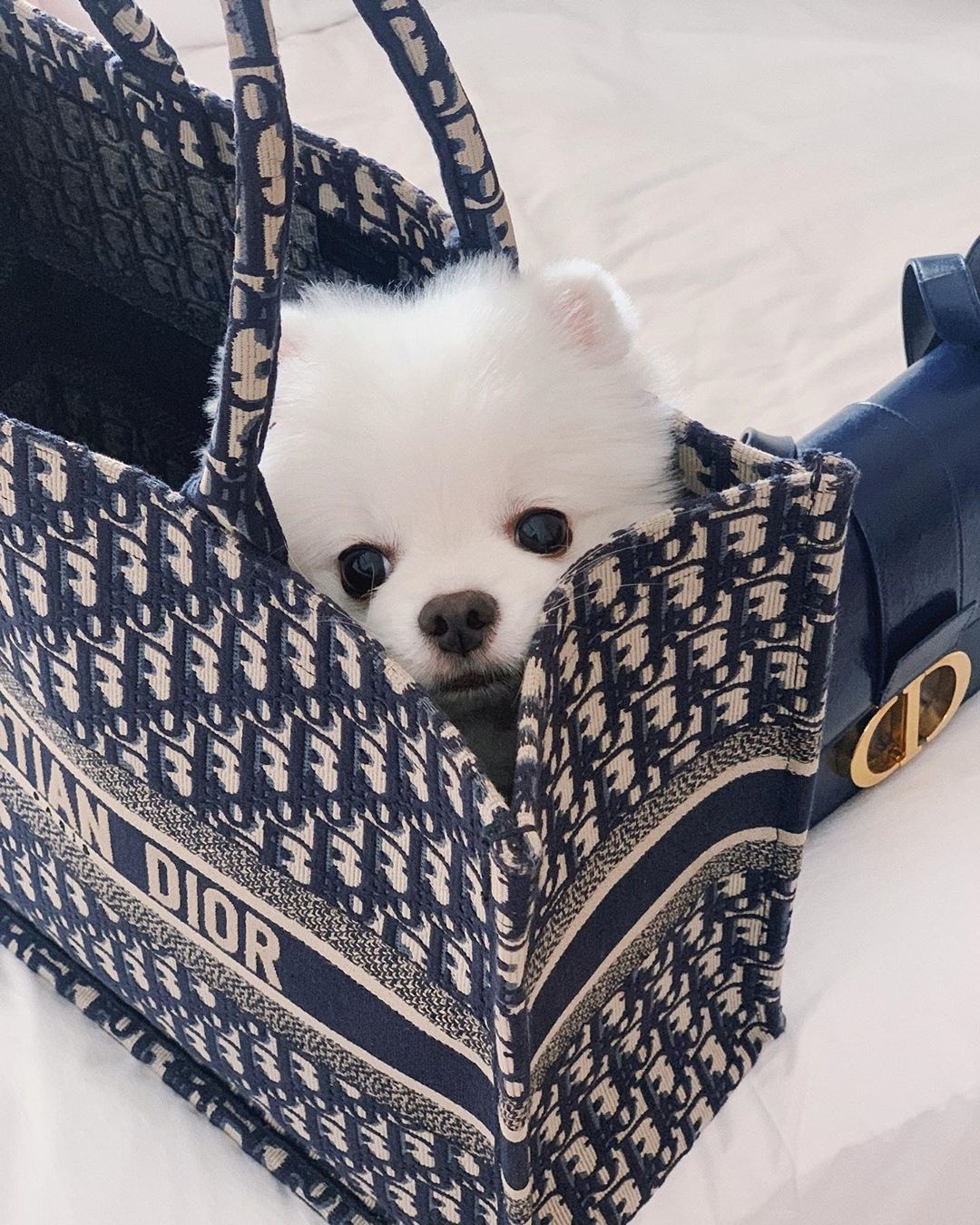 rich kid viet nam anh 33