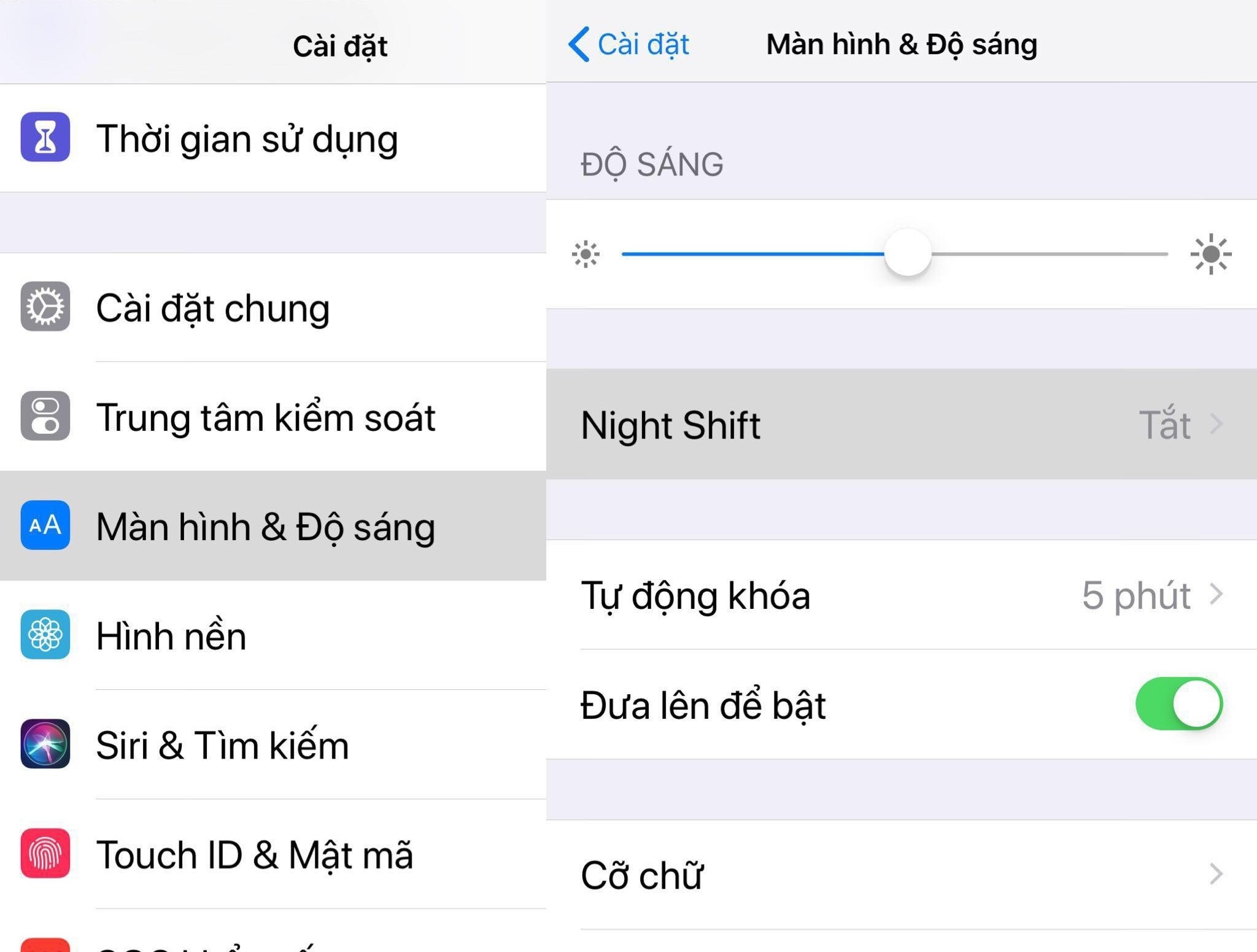 anh sang xanh ton thuong lan da anh 3