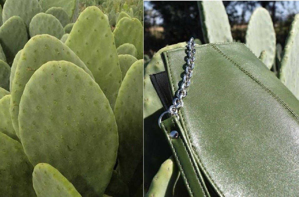 Xuong rong se cham dut viec lot da dong vat lam quan ao, giay dep? hinh anh