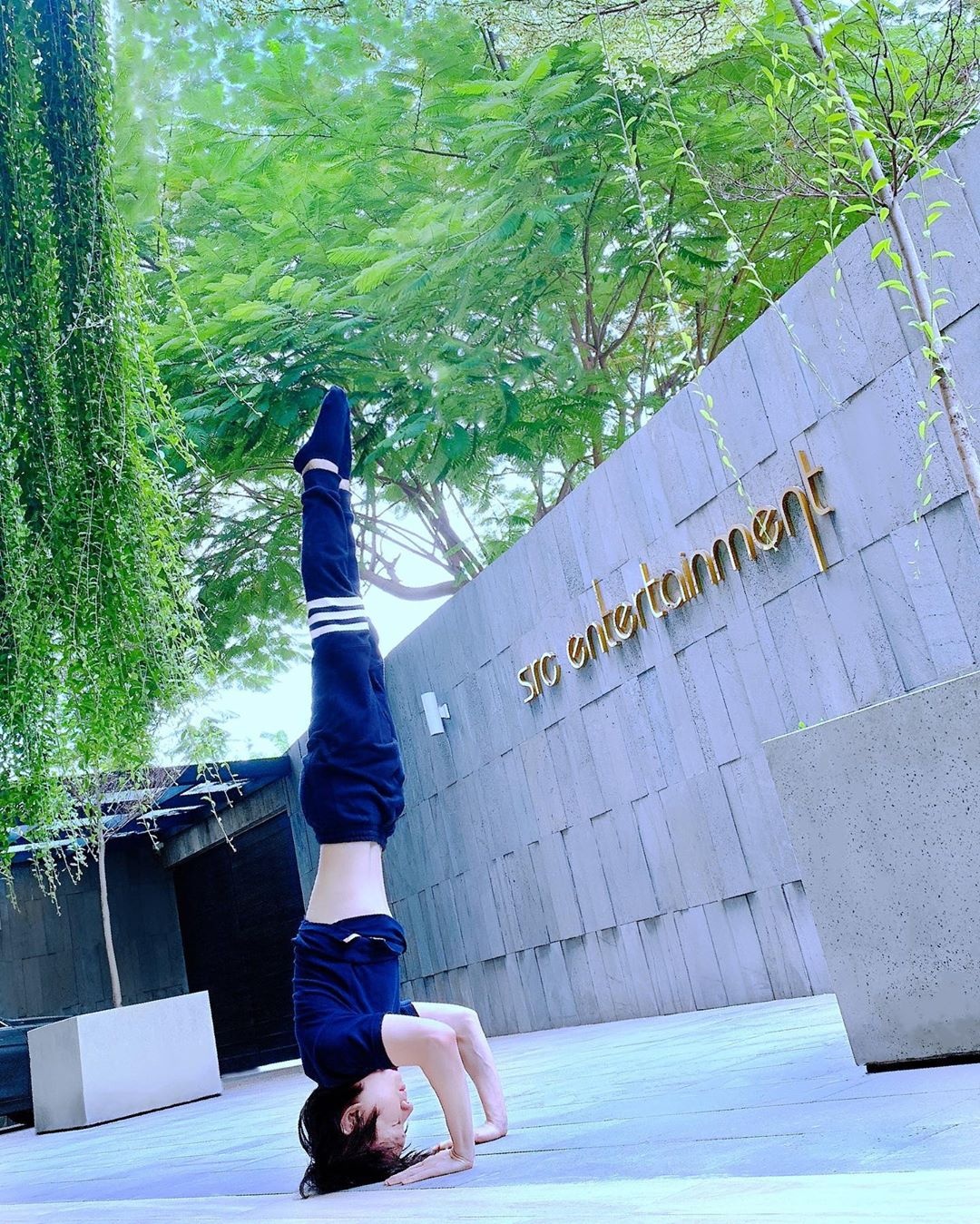 mr siro giam can anh 4