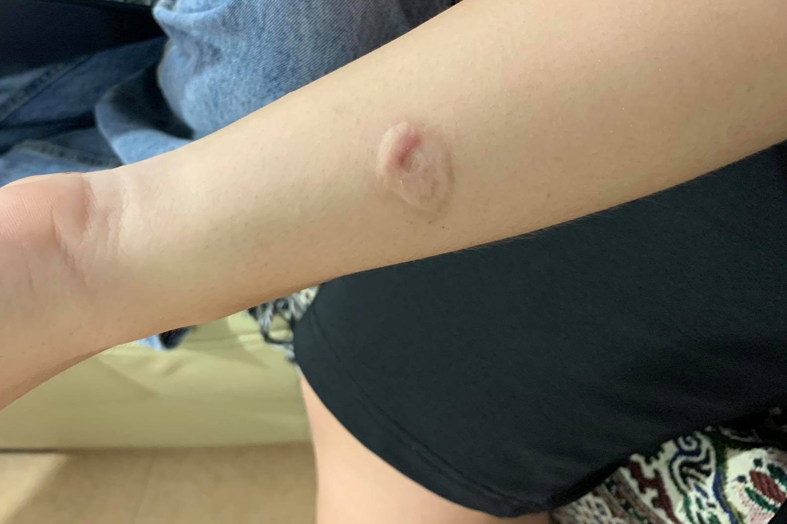 xam seo ha noi anh 1