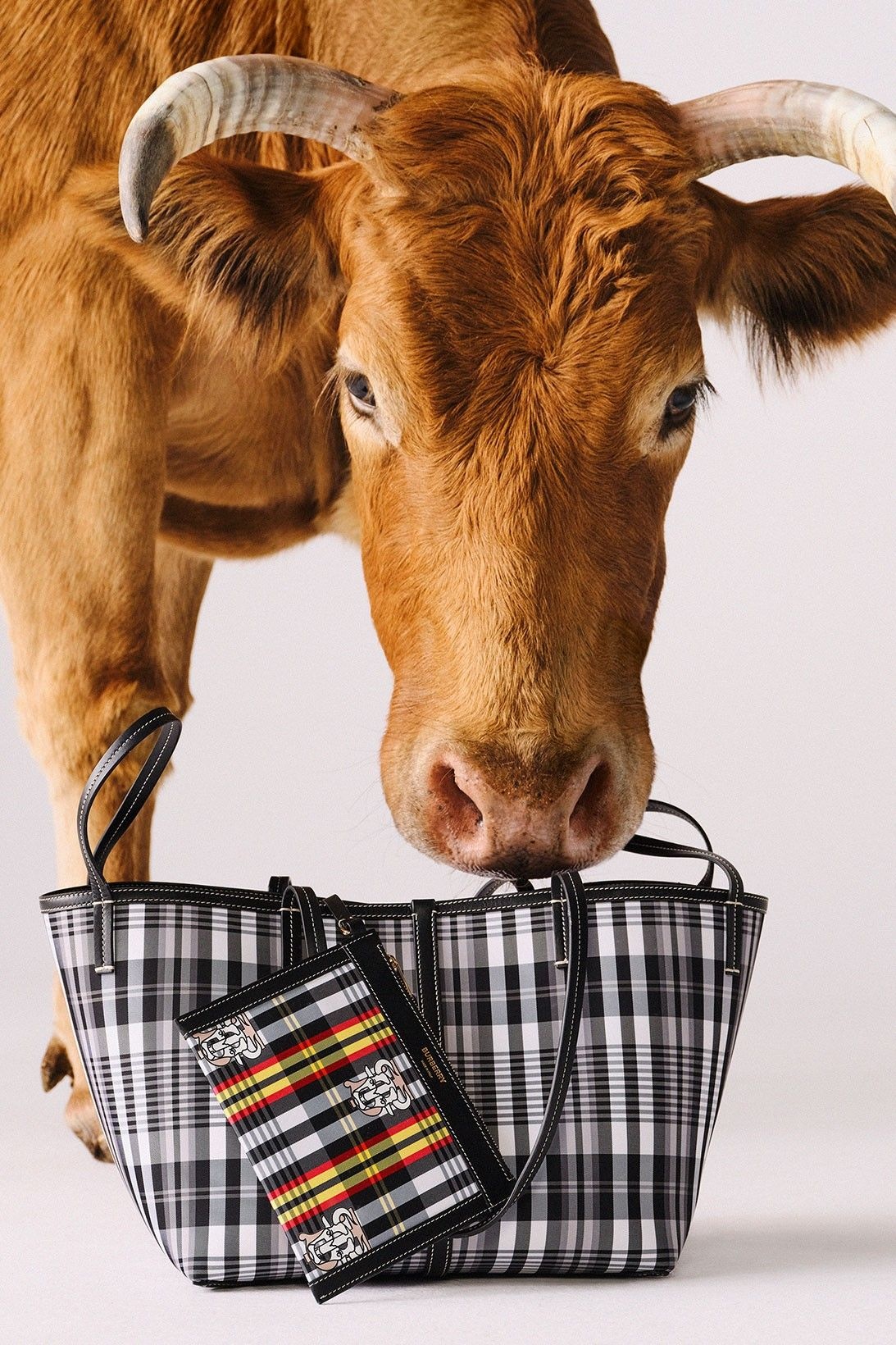 quan ao nam Tan Suu anh 21