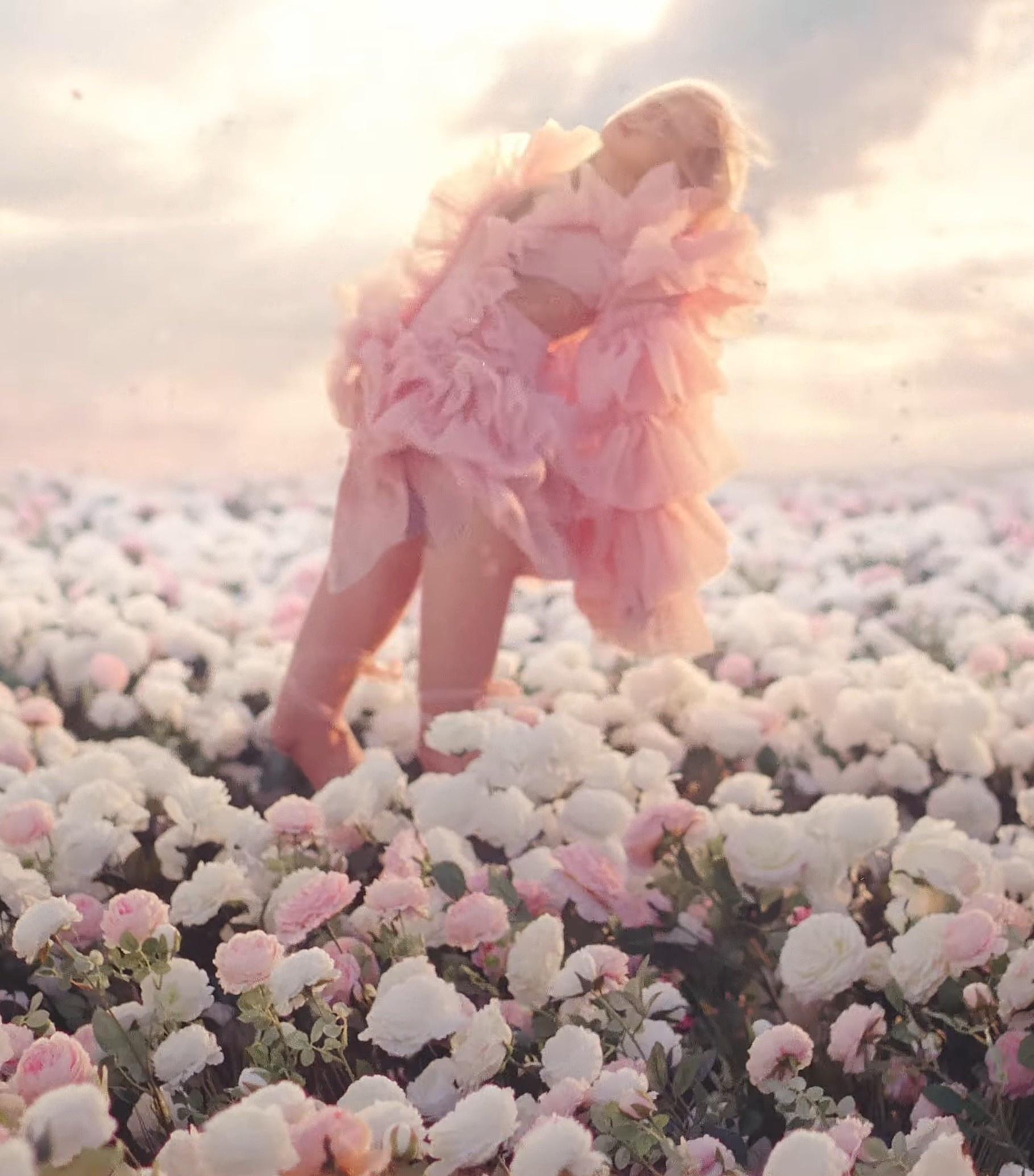 rosé solo ảnh 9 rose solo anh 9