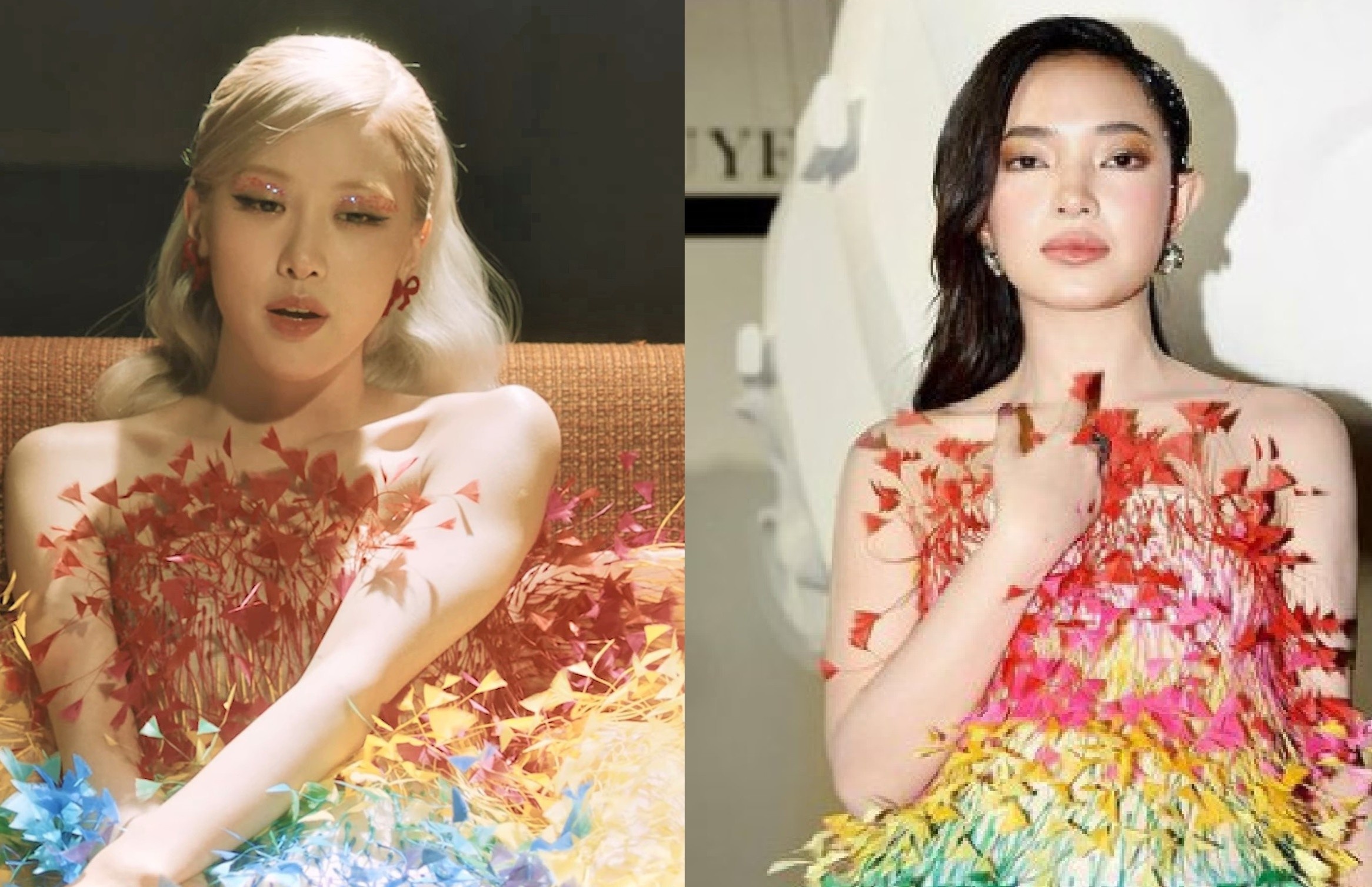 Rose mac vay giong Chau Bui hinh anh