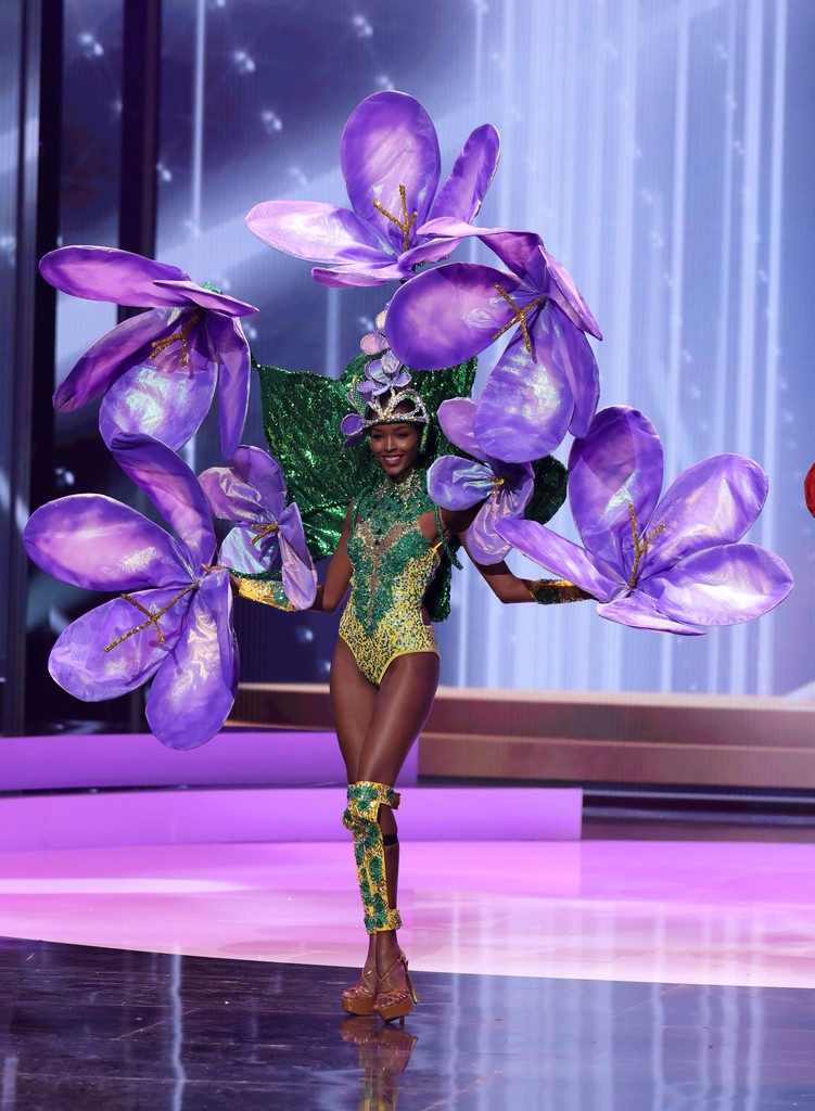 trang phuc dan toc Miss Universe anh 13