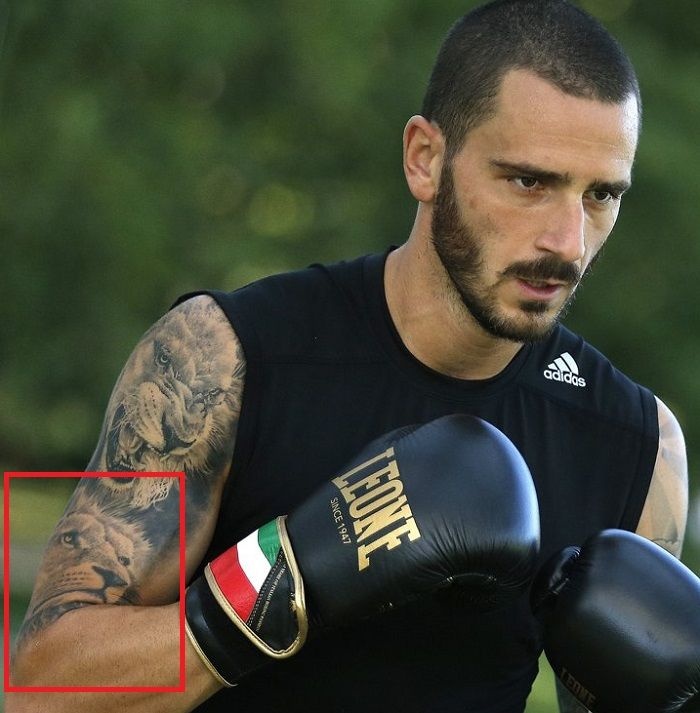 italy vô địch euro ảnh 3 italy vo dich euro anh 3