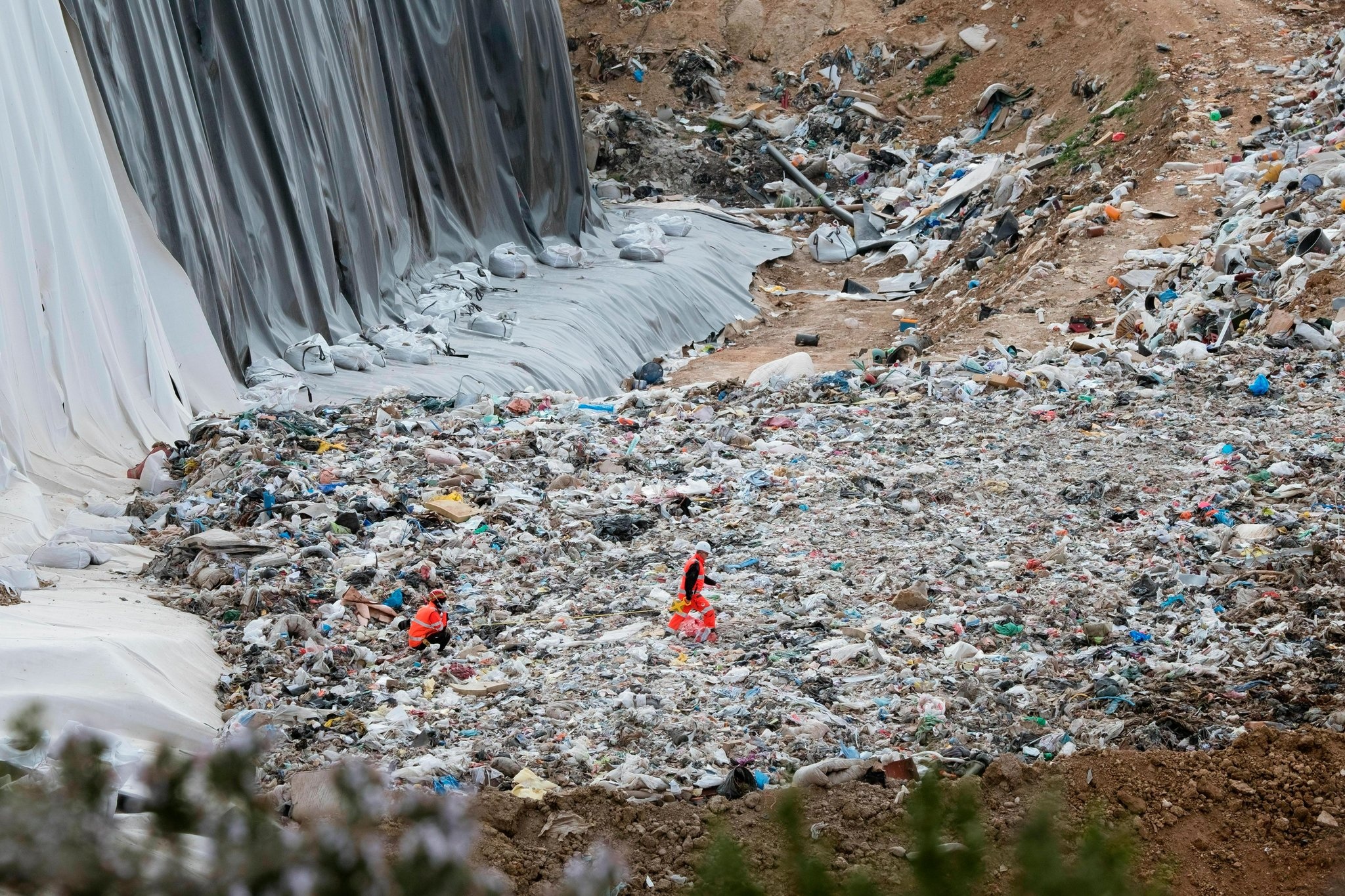 tieu huy hang hieu anh 4