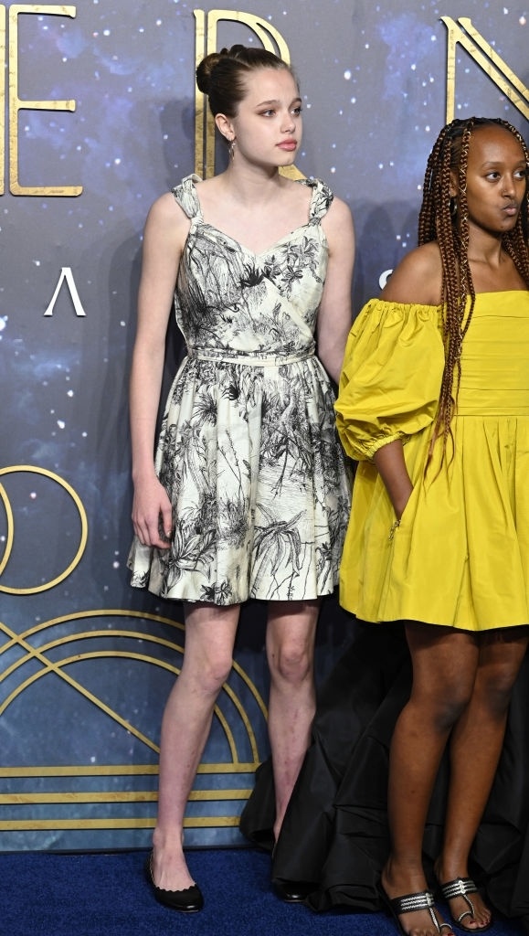 con gai Angelina Jolie anh 2