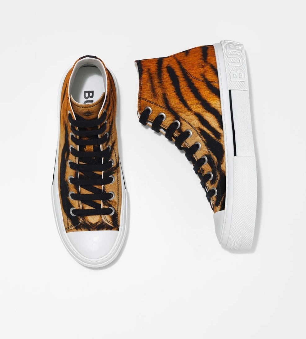 tết nhâm dần ảnh 2 tet nham dan anh 2