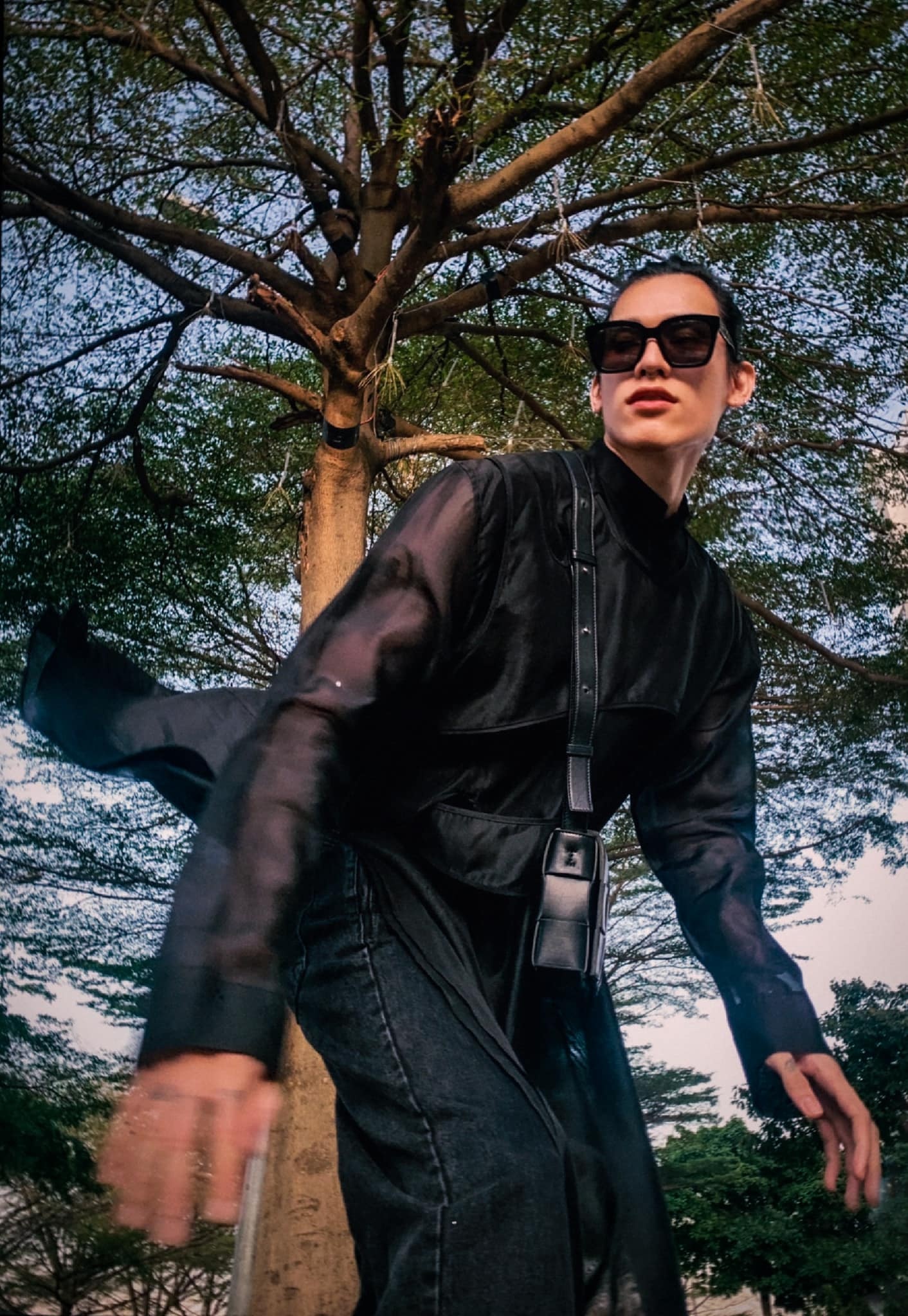 mau sac 12 con giap anh 3