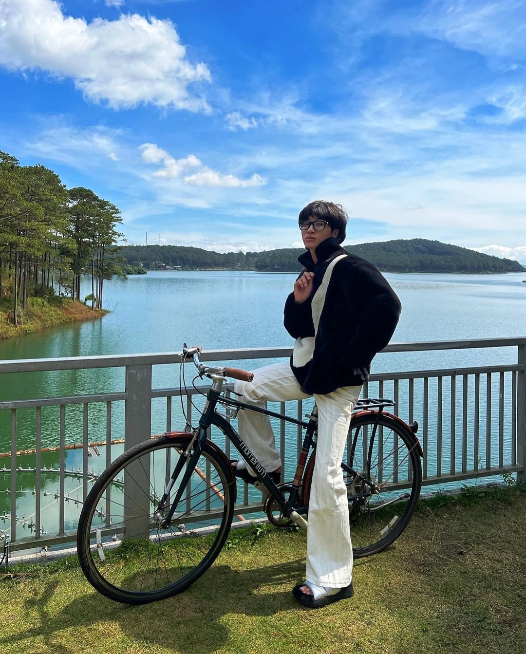 mau sac 12 con giap anh 21