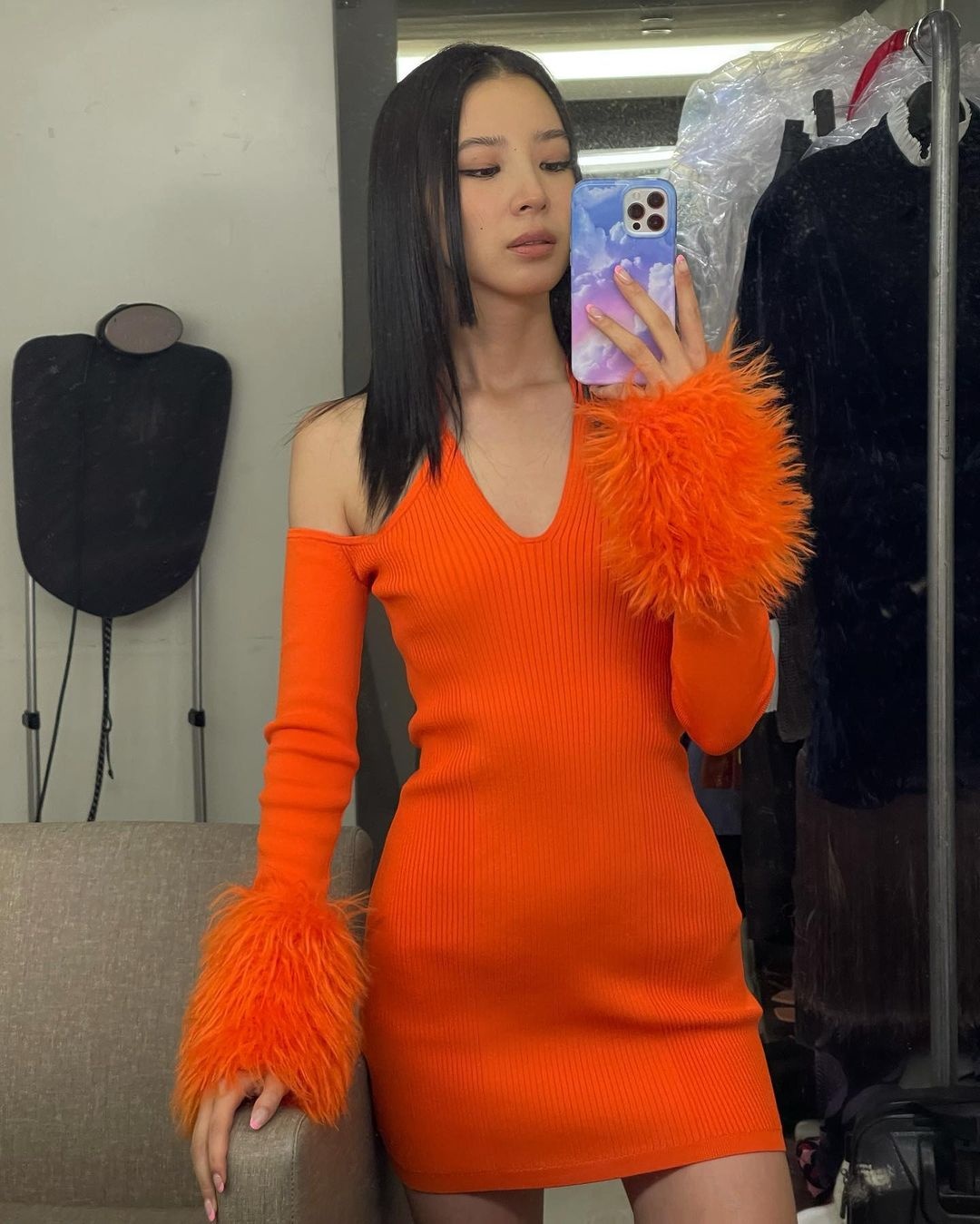 mau sac 12 con giap anh 4