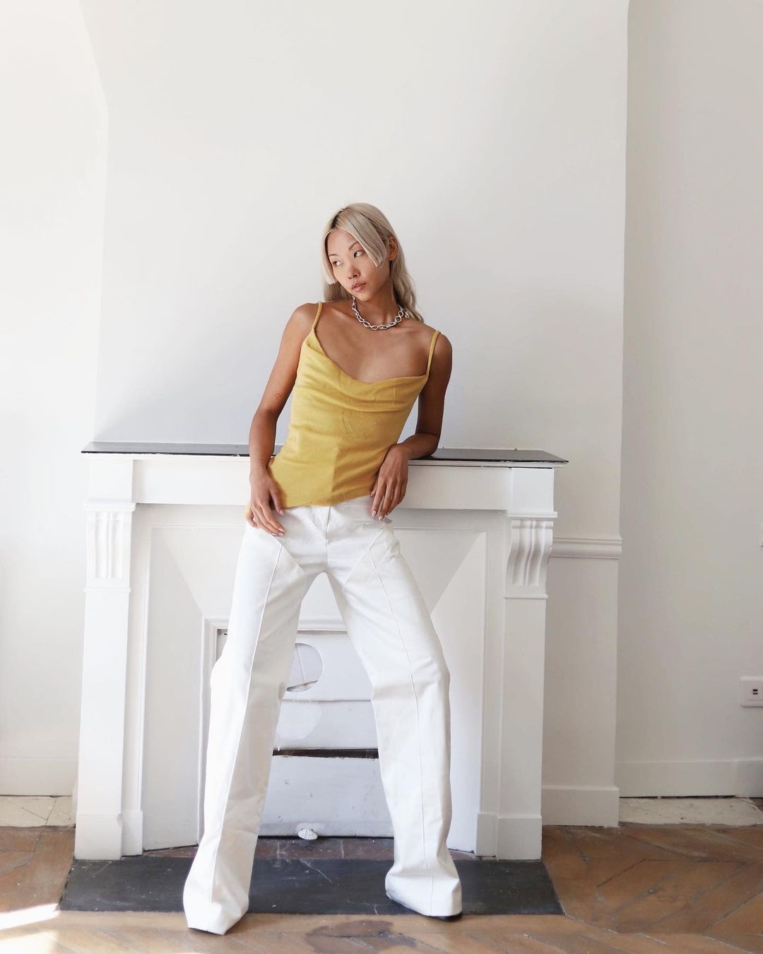 mau sac 12 con giap anh 13