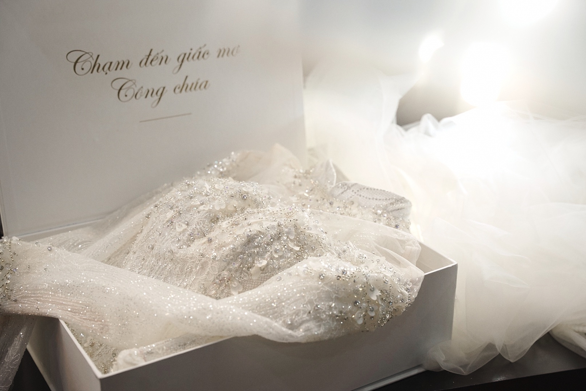 hà đức chinh ảnh 7 ha duc chinh anh 7