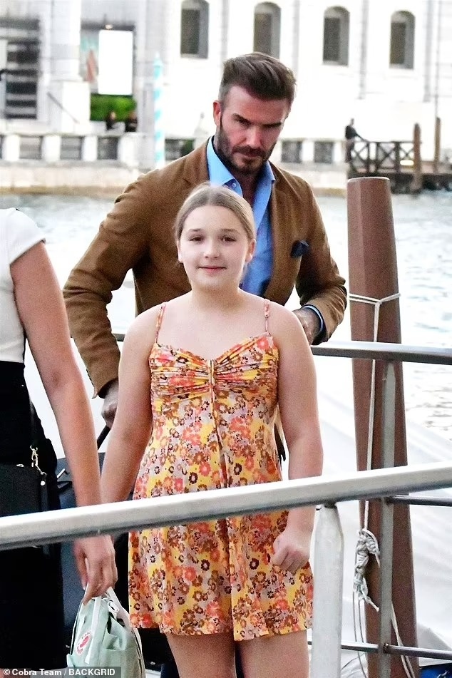 David Beckham va con gai anh 5