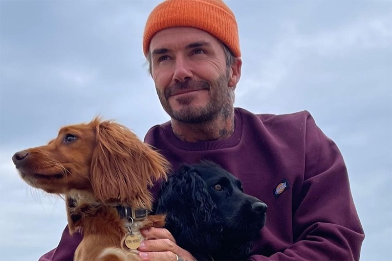 thoi trang beckham anh 5