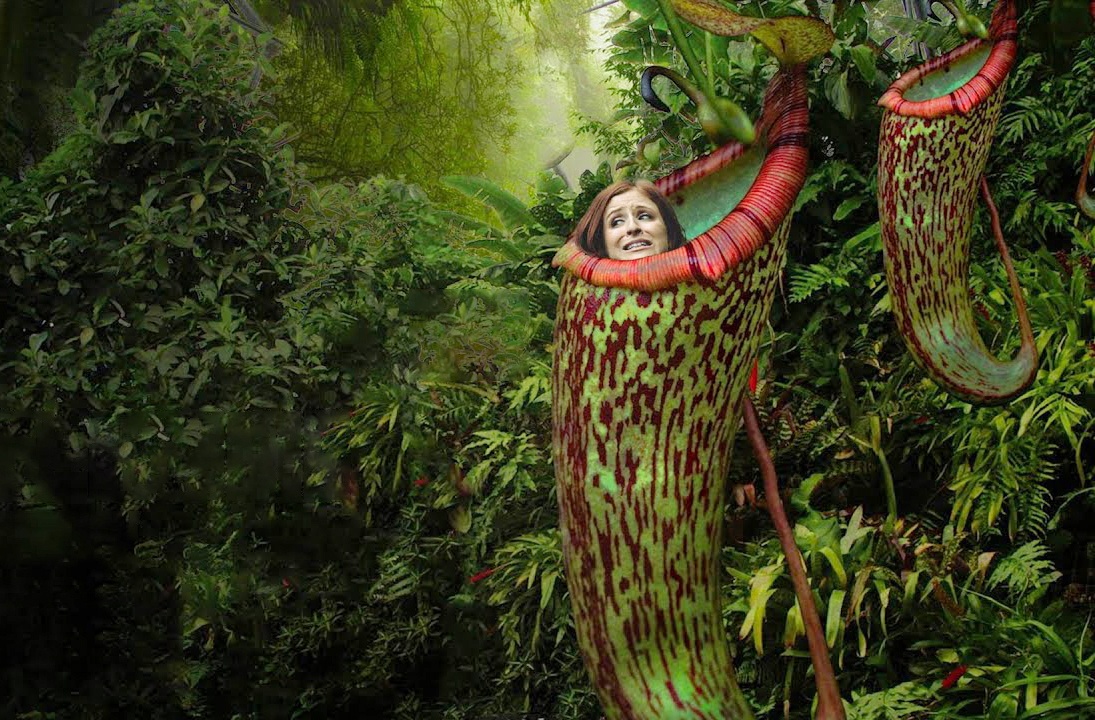 Se ra sao neu ban mac ket trong cay an thit khong lo? hinh anh