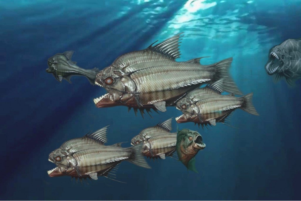 Se ra sao neu ban nga vao mot be ca rang dao? hinh anh