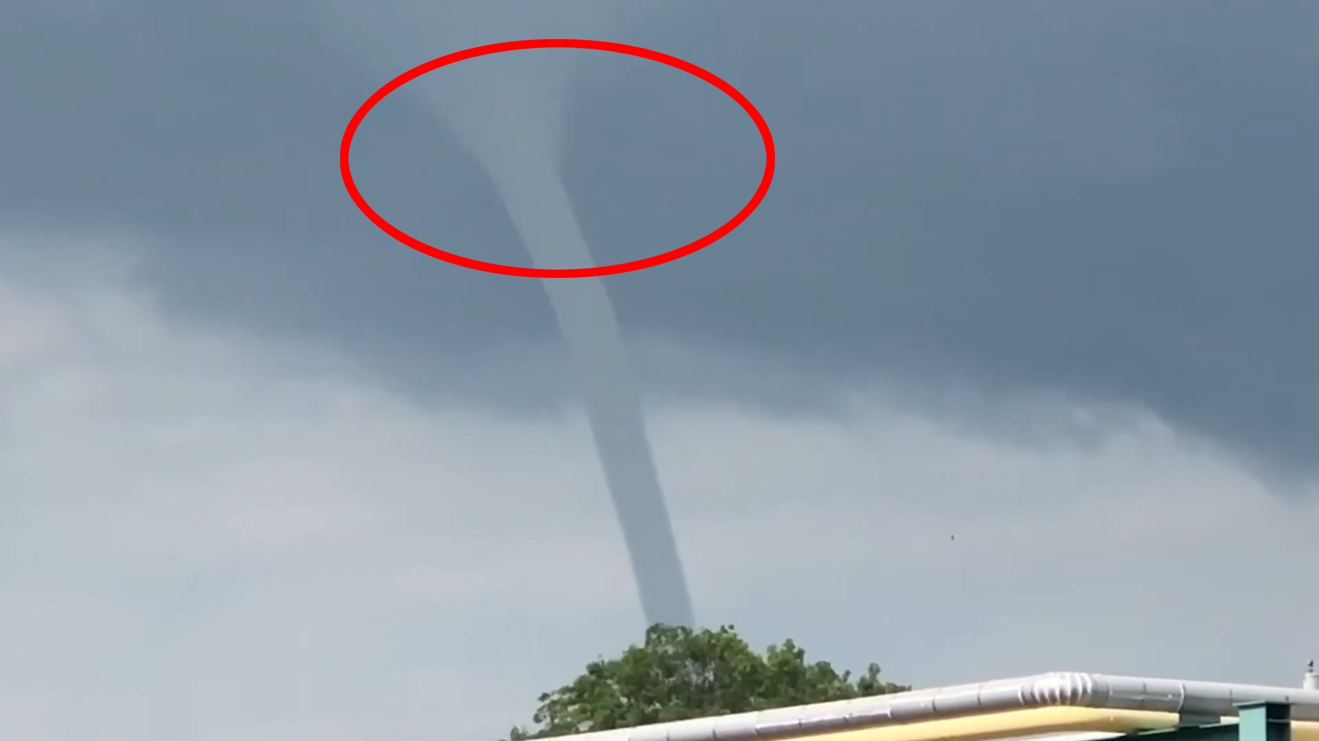 Voi rong nuoc xuat hien ngoai khoi Thai Lan, 'noi lien' bien va troi hinh anh