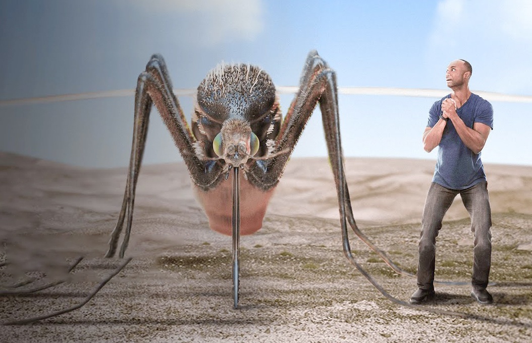 Chuyen gi xay ra neu loai muoi co kich thuoc bang con nguoi? hinh anh