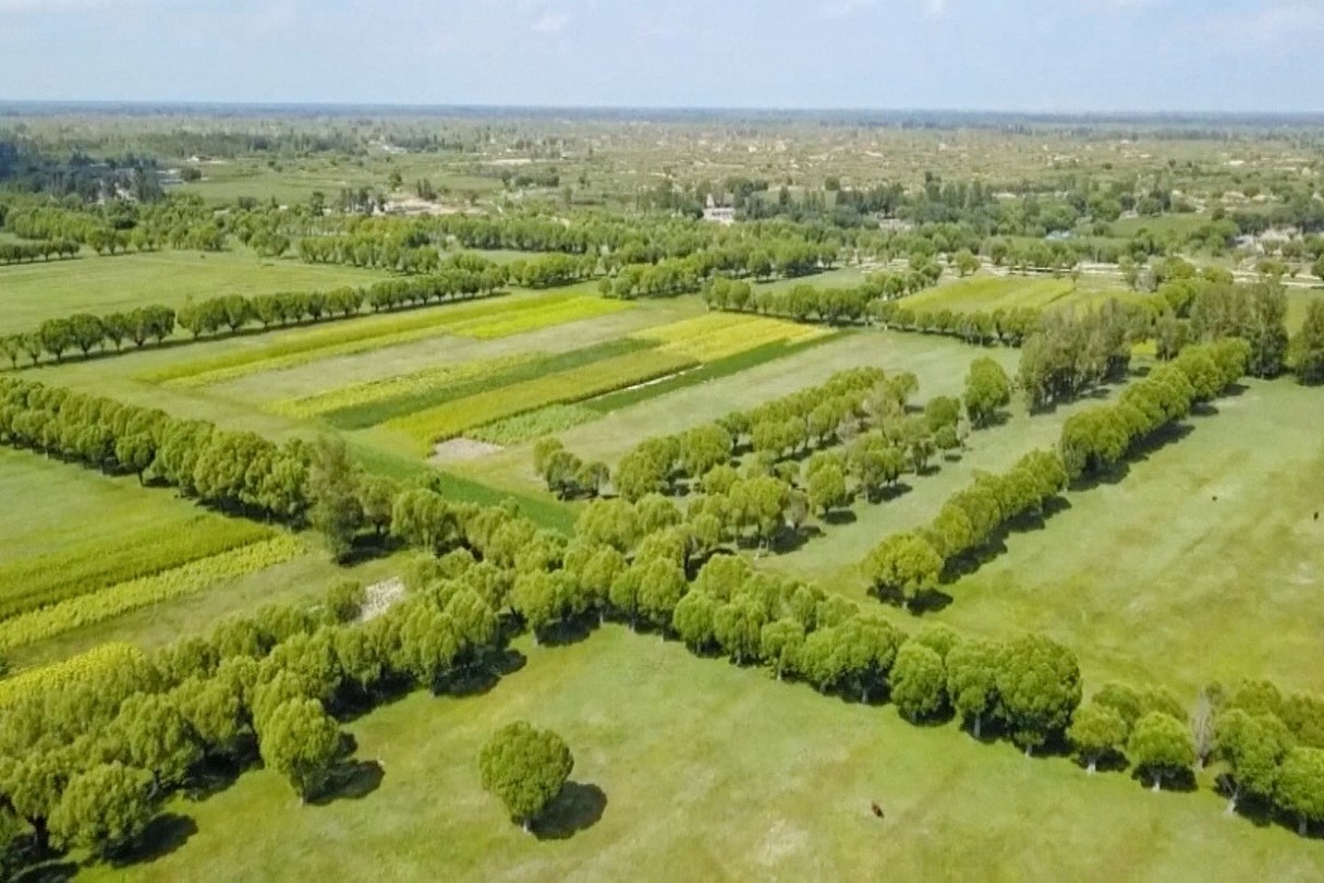 Sa mac 42.000 km2 o Trung Quoc gan nhu bien mat tren ban do hinh anh