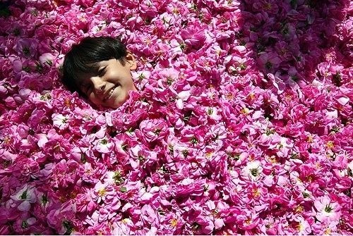 Vung dat que huong cua loai nuoc hoa hong tot nhat the gioi hinh anh