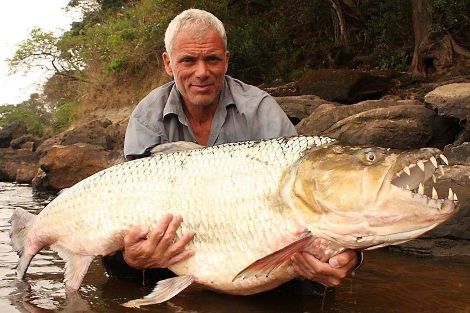 Ca ho khong lo dai 2 m, duoc menh danh la 'con ac mong song' hinh anh