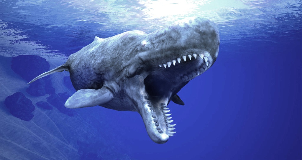 Dieu gi xay ra neu ban bi ca nha tang nuot chung? hinh anh