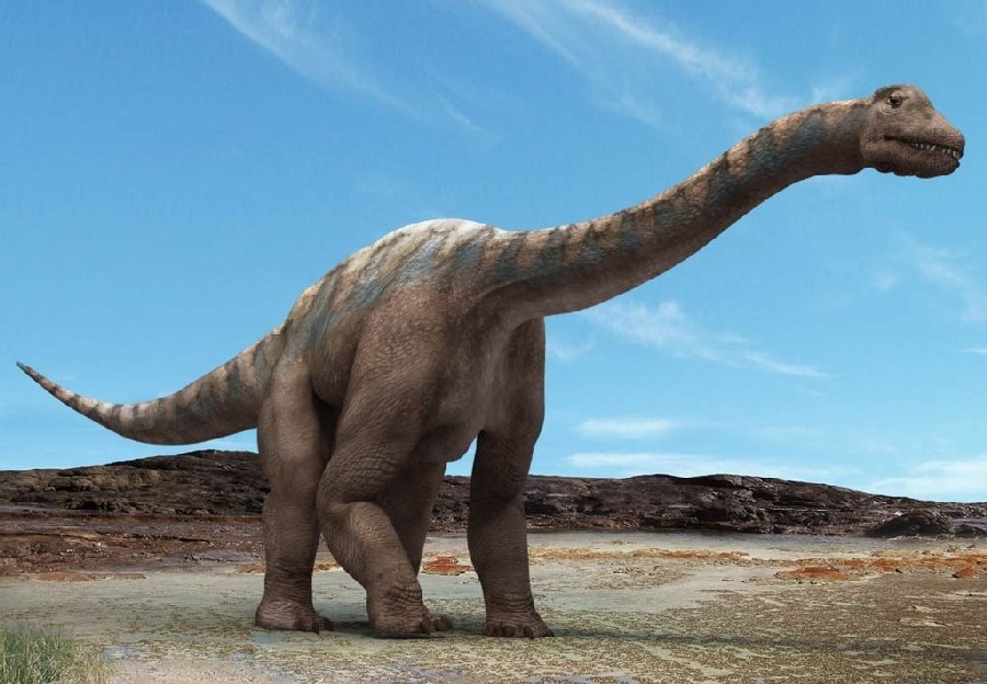 Loai khung long lon nhat tung xuat hien tren Trai Dat hinh anh