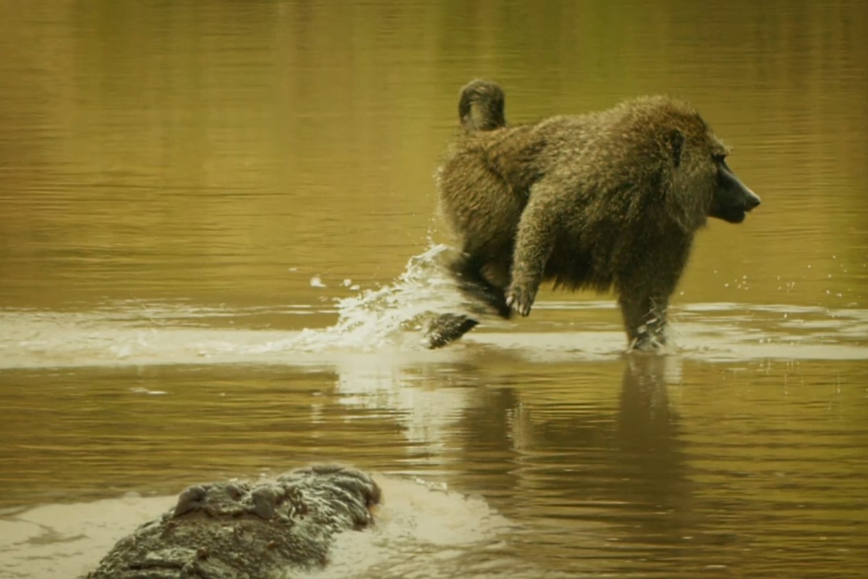 Khi dau cho om con bang qua song day ca sau hinh anh