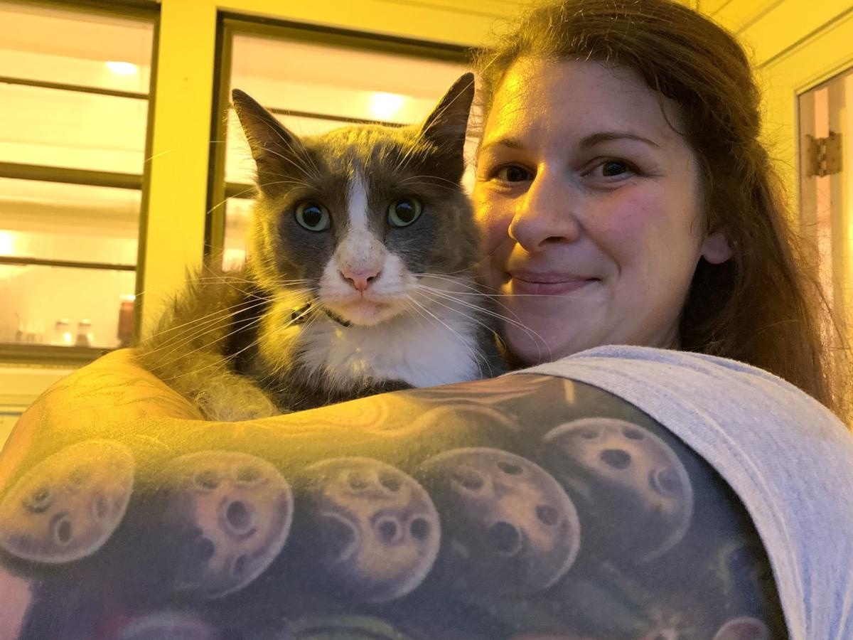 Chu meo bi phat hien di 'an trom' do cua hang xom moi dem hinh anh