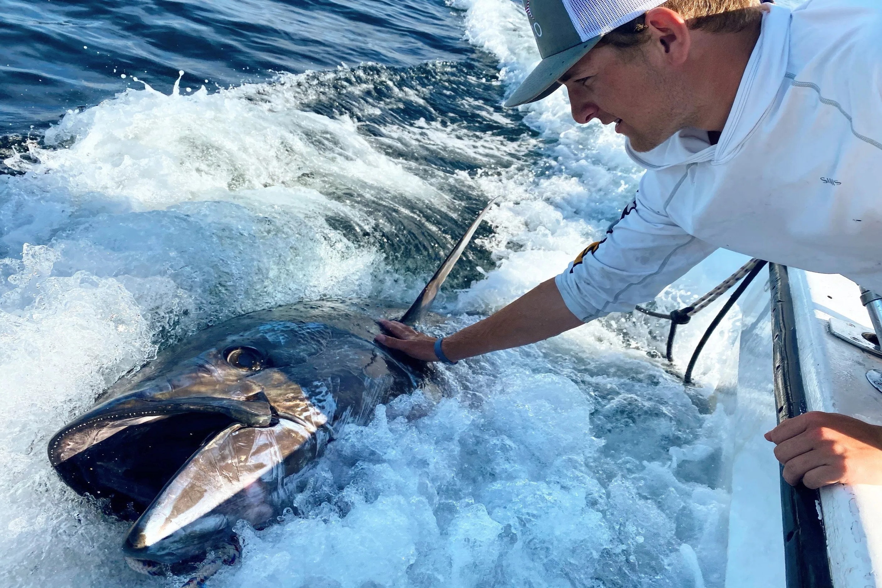 Nhom ban cau duoc ca ngu vay xanh khong lo nang 317 kg hinh anh